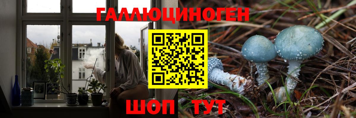 Златоуст  Псилоцибиновые грибы MAGIC MUSHROOMS  Вход с VPN  Галлюциногенные грибы мицелий 